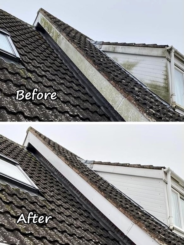 AMK Fascia cleaning before and after